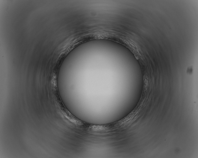X0000091000766200708021225