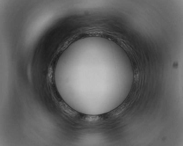 X0000091000767200708021225