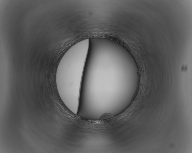 X0000091000768200708021225