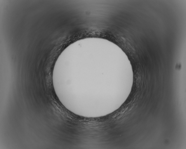 X0000091000769200708021224