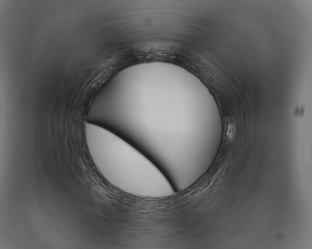 X0000091000771200708021224