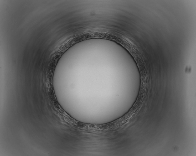 X0000091000774200708021224