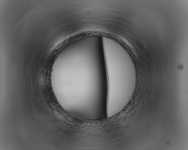 X0000091000775200708021224