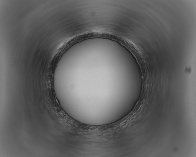 X0000091000776200708021224