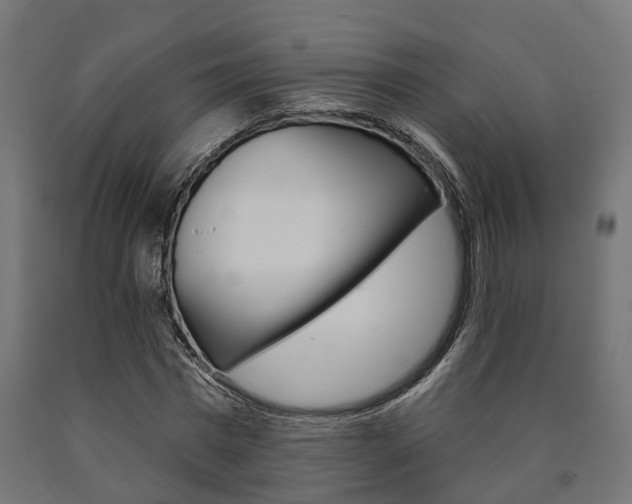 X0000091000777200708021224