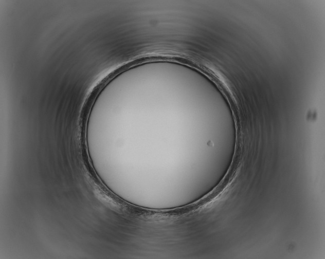 X0000091000779200708021224