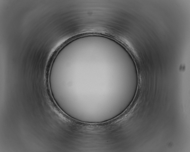 X0000091000780200708021224