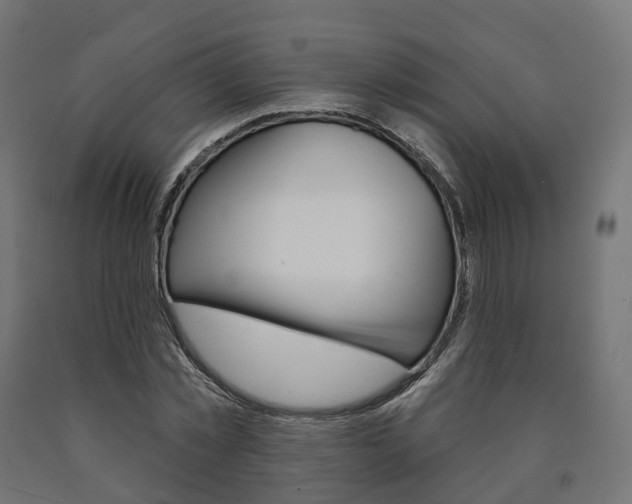 X0000091000781200708021224