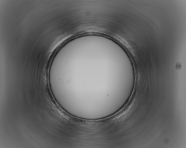X0000091000782200708021224