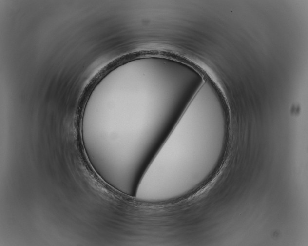 X0000091000783200708021224