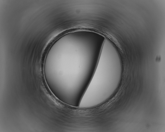 X0000091000784200708021224