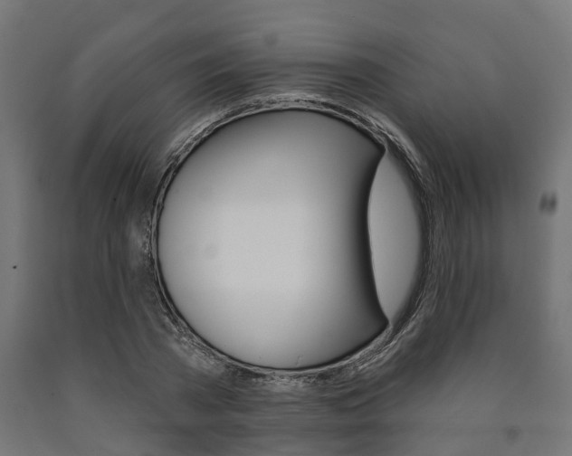 X0000091000785200708021224