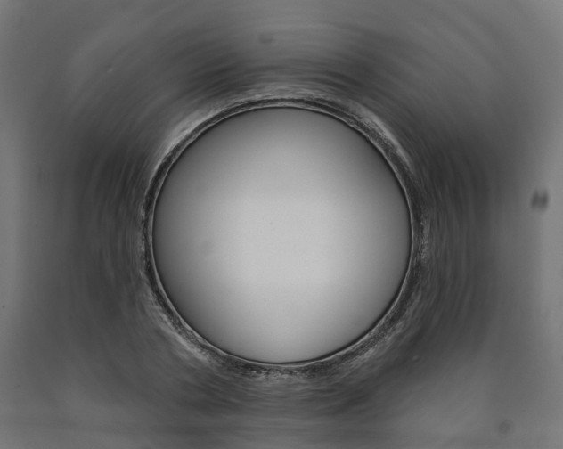 X0000091000786200708021224