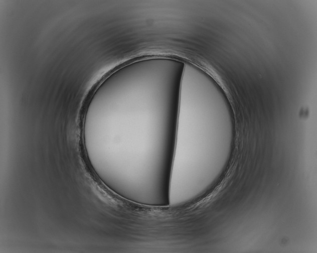X0000091000787200708021224