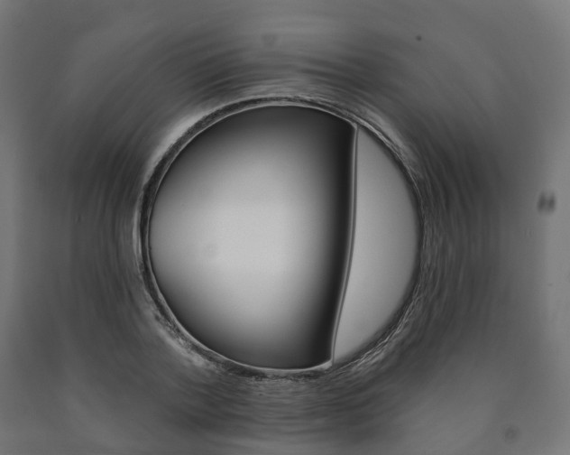 X0000091000788200708021224