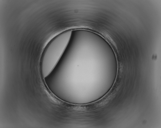 X0000091000789200708021224
