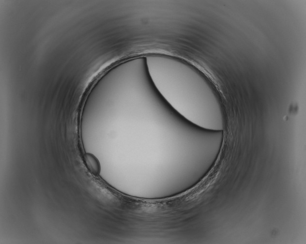 X0000091000790200708021224