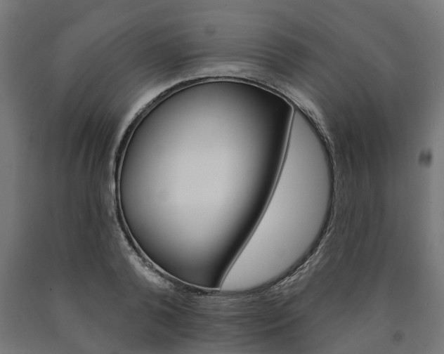 X0000091000792200708021224