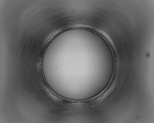 X0000091000793200708021224