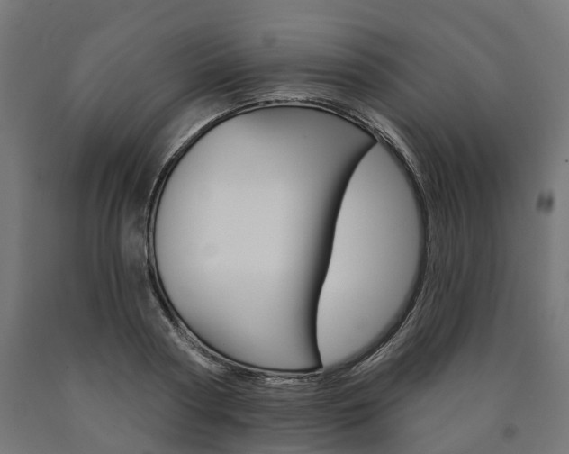 X0000091000794200708021224