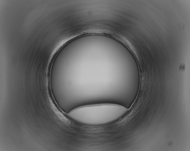 X0000091000795200708021224