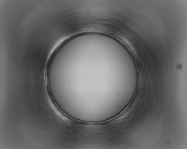 X0000091000796200708021224