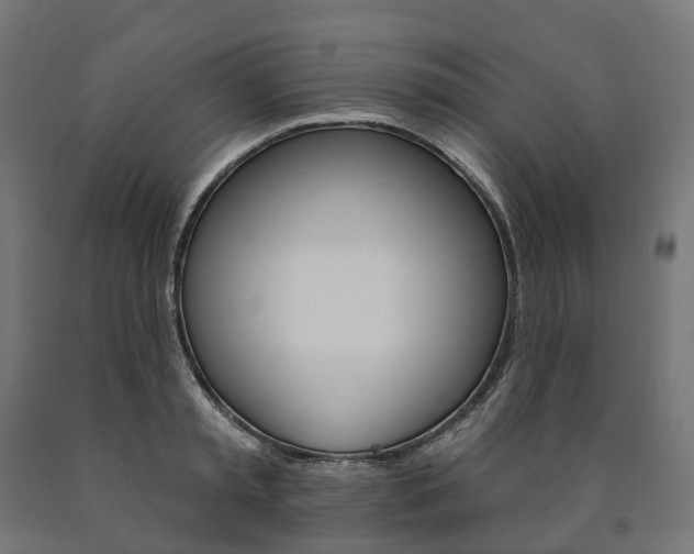 X0000091000797200708021224