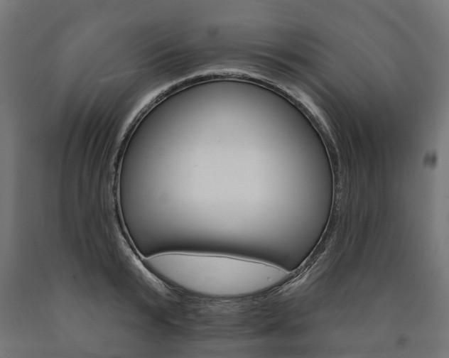 X0000091000799200708021224