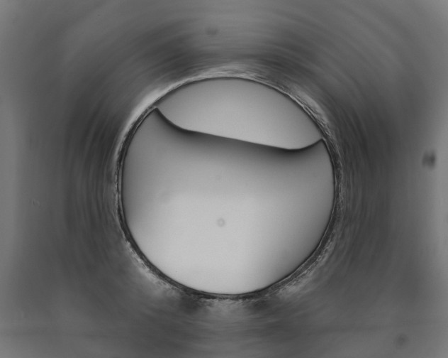 X0000091000800200708021224