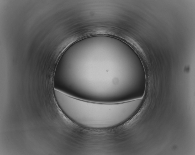 X0000091000801200708021224
