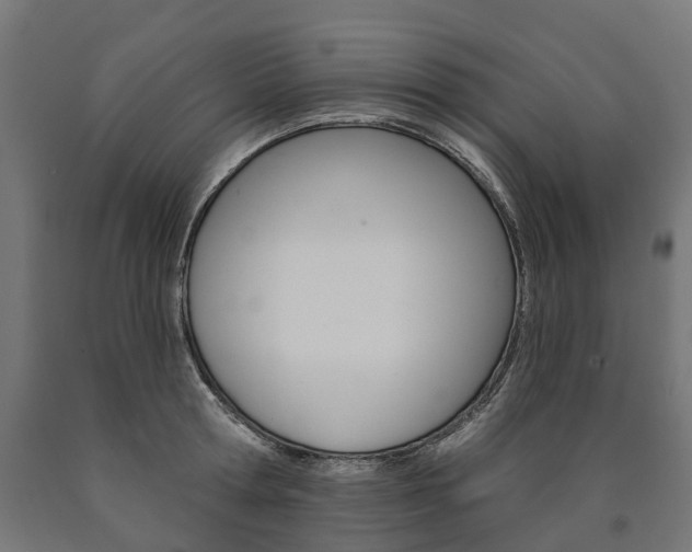 X0000091000802200708021224