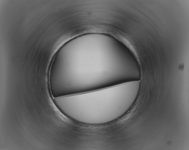 X0000091000803200708021224