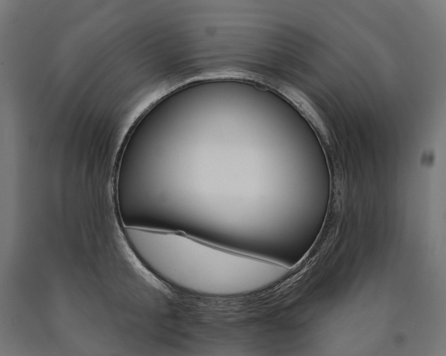 X0000091000805200708021223