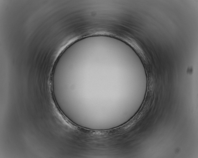 X0000091000806200708021223