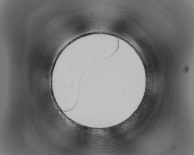 X0000091000807200708021223