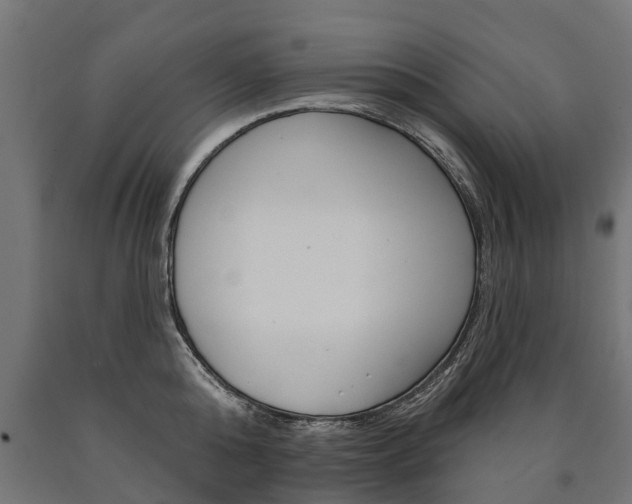 X0000091000808200708021223