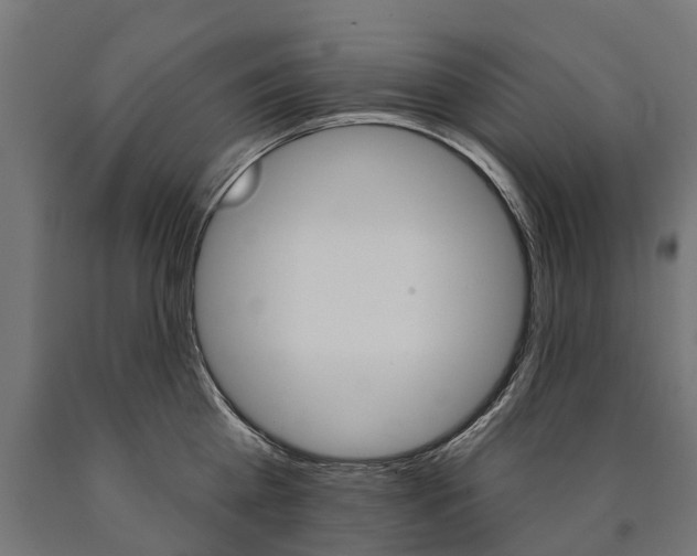 X0000091000809200708021223