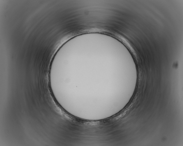 X0000091000810200708021223