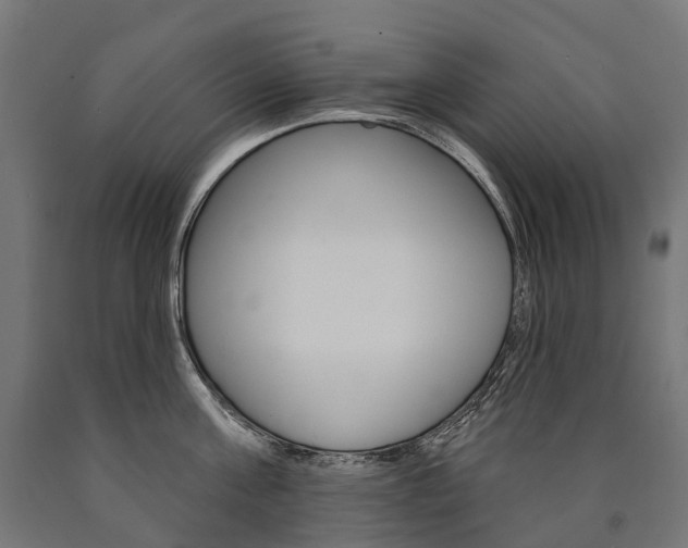 X0000091000811200708021223