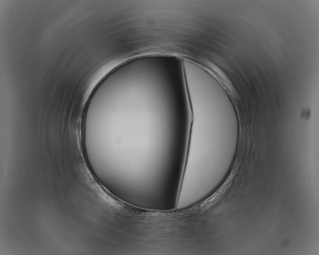 X0000091000812200708021223