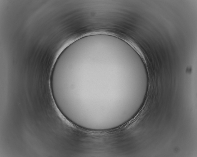 X0000091000813200708021223