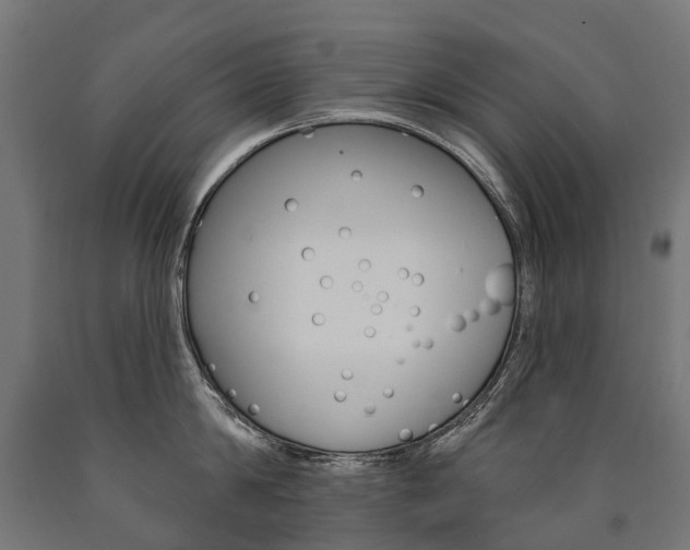X0000091000814200708021223
