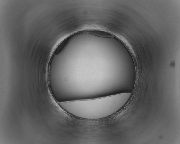 X0000091000815200708021223