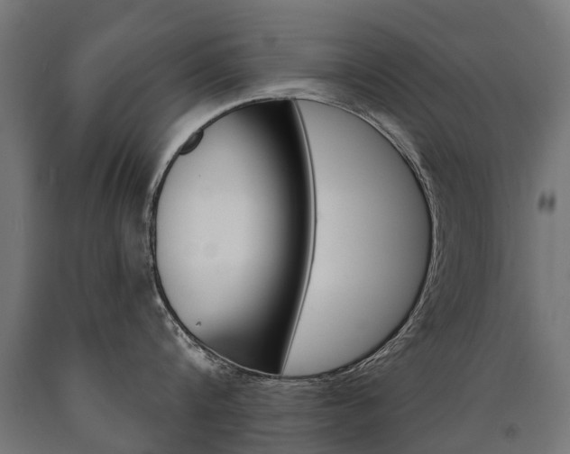X0000091000816200708021223
