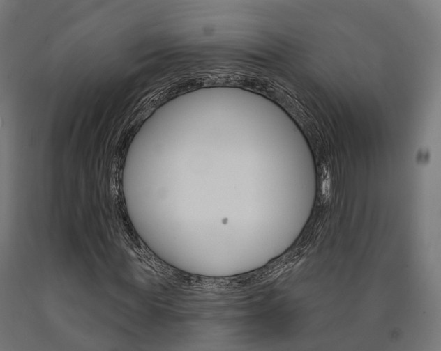 X0000091000819200708021223