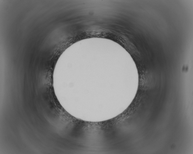 X0000091000820200708021223