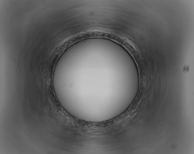 X0000091000821200708021223