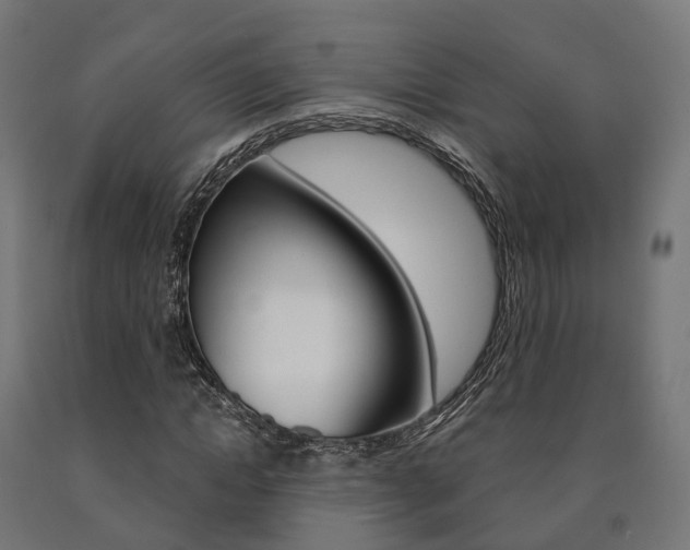 X0000091000822200708021223