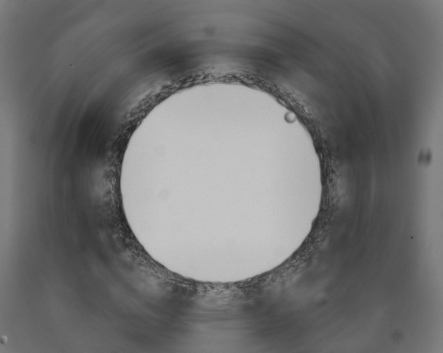 X0000091000824200708021223