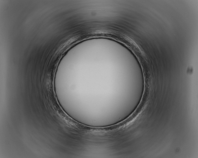 X0000091000825200708021223